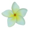Hawaii Luau Party Dance Artificial Foam Plumeria Hair Clip in White