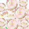Floral 1st Birthday Party Supplies for 20 Guests, Disposable Tableware Set Include Miss Onederful Plates, Napkins, Forks, Happy 1st Birthday Tablecloth for Girls Baby First Birthday Party Decorations
