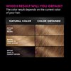 Garnier Hair Color Olia Ammonia-Free Brilliant Color Oil-Rich Permanent Hair Dye, 6 1/2.3 Lightest Golden Brown, 1 Count (Packaging May Vary)