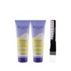 Inebrya Blondesse No-Yellow Mask (8.45 oz) with Teasing Comb Pack of 2