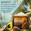 Majestic Pure Avocado and Coconut Hair Mask for Dry Damaged Hair - Infused with Biotin - Deep Conditioning, Hair Thickening, for Healthy Hydrated Hair, Sulfate Free, 16 fl oz