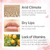 CATKIN Ultra Hydrating Natural Plant Extract Lip Balm for Dry Lips Moisturizing Chapstick Lip Treatment Repair Nourish Lip Skin Care (C01 Colorless)