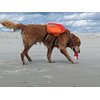 Bark Brite The Chewy Buoy Water Dog Toy