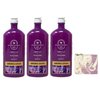Bath & Body Works Aroma Oasis Hibiscus Mandarin Violet 3 Pack Body Wash + Foam Bath Value Pack with a Lavender Dream Bar Soap