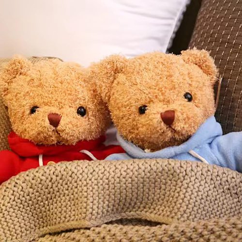 BIUBIULOVE Teddy Bear Stuffed Animal, Soft Cuddly Stuffed Plush Bear, Gifts for Kids Baby Toddlers on Baby Shower, Valentine's Day (Brown, 12inch)