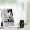 LINES ARTE Pet Urns for Dogs Ashes Small, 2.7x1.7Inch Black Aluminum Dog/Cat Urn for Ashes Small, Keepsake Pet Urns for Cats