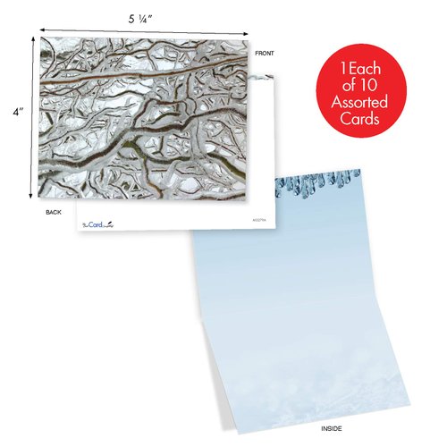 The Best Card Company - 10 Bulk All Occasion Note Cards (4 x 5.12 Inch) - Blank Assorted Cards Set, Nature Plants and Gardens - Nature on Ice M3279