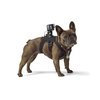 GoPro Fetch Dog Harness - Official GoPro Mount