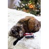 Pearhead Naughty Or Nice Christmas Cat Toy Set, Holiday Pet Owner Gift, Christmas Must Have Toy Set, Cat Teaser Toy, with Catnip Pouch, Set of 2
