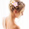 Beaupretty 12pcs Plumeria Hair Tie Hawaiian Elastic Hair Rope Flowers Ponytails Bands Hair Accessories for Women Girls