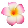 GSHLLO 10 Pcs 7cm Multicolor Hawaiian Hair Clip Beach Foam Flower Headpieces for Wedding Party Accessories