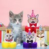 Teling 9 Pcs Cat Birthday Party Decorations Cat Themed Honeycomb Centerpieces Cats Party Supplies Cat Party Cake for Kids Baby Shower Birthday Supplies