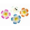 ALIMITOPIA Hawaiian Plumeria Hair Clip Foam Artificial Tropical Flower Hairpin Barrette Hair Accessories for Luau Beach Party(Plumeria Flower;12pcs;Medium Size)