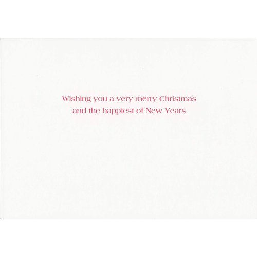 Masterpiece Studios Warmest Wishes 16-Count Boxed Christmas Cards with Foil-Lined Envelopes, 7.8" x 5.6", Beach Snowman (872400)