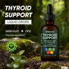 Kindled Thyroid Support Drops | Liquid Drops with Selenium, Zinc & L-Tyrosine, Iodine, Ashwagandha | kindled Thyroid Support, Daily Support – 4 fl.oz (120mL)