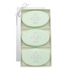 Carved Solutions Signature Spa Trio Green Tea & Bergamont-Fleur-De-Lys Soap