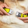 Dog Collar Seatbelt Buckle Neon Yellow 16 to 23 Inches 1.5 Inch Wide