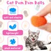 Eerrhhaq 2 Cat Toy Launchers & 100 Cat Pom Pom Balls,Cat Toys Balls Launcher,Launch Ball Interactive Toy,Silent Plush Elastic Ball for Kitty