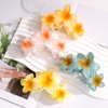 AMCAMI 4 Pcs Flower Hair Clips Hair Clips for Women Claw Clips for Thick Hair Hair Claw Clips Hair Clips for Thin Hair Beach Accessories for Women Cute Hair Clips Hawaiian Flower Hair Clips Hair Claws