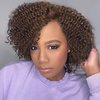 Fancy Hair Human Hair Wig Short Lace Front Wigs Kinky Curly Glueless Side Part Brazilian Virgin Human Hair Curly Bob Wigs with Baby Hair for Black Women (Brown,10 Inch)