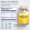 SOLARAY Mega Vitamin B-Stress, Timed-Release Vitamin B Complex with 1000 mg of Vitamin C for Stress, Energy, Red Blood Cell & Immune Support, 60 Day Guarantee, Vegan, 40 Servings, 120 VegCaps