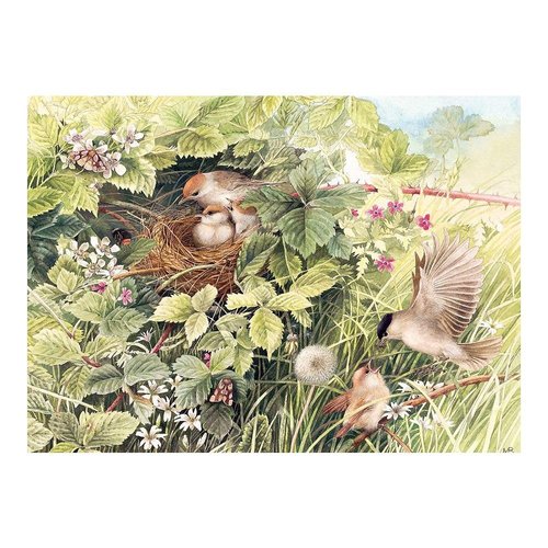 Cobble Hill 1000 Piece Puzzle - Hidden Nest - Sample Poster Included