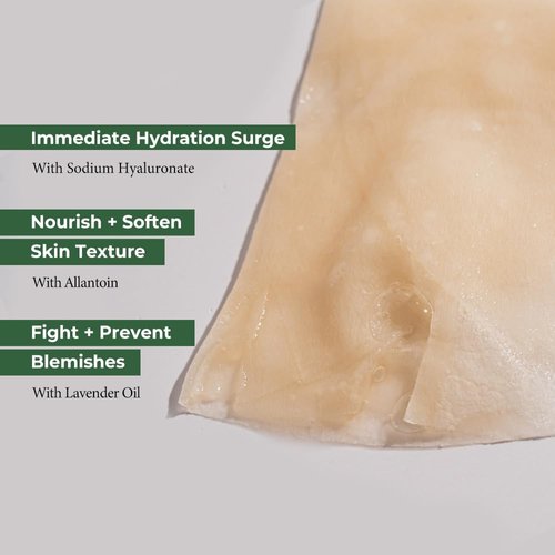 Fraijour Original Herb Wormwood Sheet Mask 5EA, 23ml / 0.78 fl. oz.