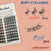 MOMOLASH Fluffy Lash Clusters Wispy 168pcs Volume Natural Soft Cluster Eyelash Extensions with Bottom Lashes D Curl Individual Matte Black Lashes 12-18mm with 5-7mm Bottom Eyelash Clusters DIY at Home