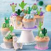 Cactus Party Decorations Fiesta Cactus Birthday Party Supplies Cactus Happy Birthday Party Banners Paper Lanterns Balloons Cake Toppers for Tropical Mexican Fiesta Party Decorations