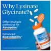 Doctor’s Best High Absorption Magnesium Glycinate Lysinate Supplement - 100% Chelated for Maximum Absorption - Magnesium for Sleep and Muscle Relaxation - 200 Mg Per Serving - 120 Tablets