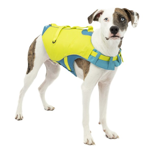 Kurgo Surf n’ Turf Dog Life Jacket - Flotation Life Vest for Swimming and Boating - Dog Lifejacket with Rescue Handle and Reflective Accents - Machine Washable - Blue/Green, Small