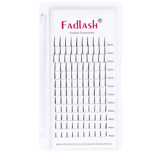 Lash Spikes Extension D Curl Mixed Tray Fairy Lashes Premade Spikes Eyelash Extensions Super Thick Spikes Individual Lashes Preamde Fans (D Curl, 8-14mm)
