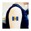 Womaha 30 Sheets Barbadian Flag Temporary Tattoos Fans Face Tattoo Stickers for Adults Kids Group Activity Props