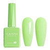 CANNI Pastel Green Gel Nail Polish, 1Pcs Sage Light Green Gel Polish Lime Mint Green Color Nail Polish Gel High Gloss Soak Off U V Gel Nail French Nail Manicure Salon DIY