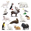 Toymany 14PCS Mini Arctic Animals Figurines Set, Polar Animals Toys with Polar Bear, Caribou, Penguin, Walrus, Wolf Figurines Cake Toppers Birthday Easter Gifts for Preschool Kids