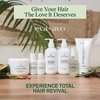 Eva + Avo Leave In Conditioner Cream, 6 Fl Oz - Hydrating Hair Treatment with Avocado and Rosemary for All Hair Types - Paraben and Sulfate-Free Leave In Hair Conditioner - 1-Pack