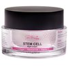 Powerful Anti-Aging Night Cream w/Apple Stem Cells, Retinol, Collagen, Niacinamide, Hyaluronic Acid & Vitamin C, 5-in-1 Face Cream for Women|Men - 1.7 oz.