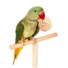 Tfwadmx 10 Pcs Willow Ball, Bird Foraging Toys, Small Animal Chew Toy Activity for Parrot Macaw Hamster Guinea Pig Rat Parakeet Cockatiels Conure Finch Budgerigar Lovebird