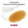 Kent FD11 Shower Brush Back Brush Shower Exfoliating Brush Body Wash Brush Oval Bath Brush Exfoliates Wet or Dry Skin and Improves Circulation. Perfect for Lathering and Scrubbing. Made in England.