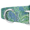 Country Brook Petz - Premium Dog Collar and Leash Set - Five Paisley Collection (Green Paisley, 1 Inch, Medium)