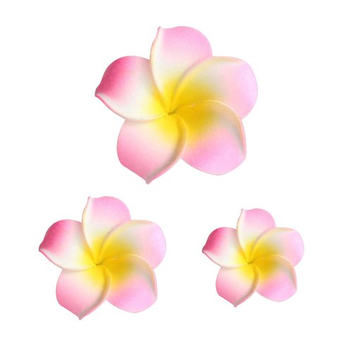 Koolgil Women's Fashion Hawaiian Foam Plumeria Flower Clips Plumeria Flower Bowknot Hair Clip for Bridal Wedding Luau Beach Tropical Vacation Party Hair Decorations (3 Sizes Pink)