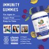 MaryRuth Organics Sugar Free Immunity Gummies, Powerful Blend, Elderberry Vitamin C & Zinc, Vitamin D3 & Echinacea, Immune Support Supplement & Gummies for Kids & Adults, Vegan, Non GMO, 90ct