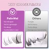 FelinWel Lash Clusters with Bottom Lashes 114 pcs Natural Look, Soft Individual Cluster Lashes For DIY at Home (2 Styles,C-Mix6-12mm)