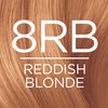 L'Oreal Paris Excellence Creme Permanent Hair Color, 8RB Medium Reddish Blonde, 100 percent Gray Coverage Hair Dye, Pack of 2