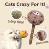 CECE PAW 4 Pack Catnip & Silvervine Lollipops, Cat Chew Toy for Kitten Teething, Interactive Cat Toy for Bored Indoor Cats, Cat Kicker Toy