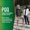 PQQ Supplement 20mg | Mitochondrial Biogenesis & Energy Optimizer With CoQ10 & Vitamin B12 | Supports Brain Health & Mitochondria Production | Ultra PQQ Formula | Vegan, Gluten-Free | 60 Capsules