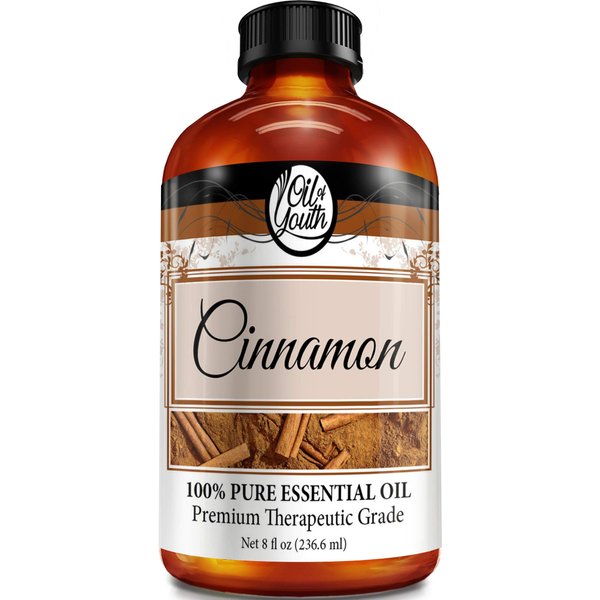 Oil of Youth Essential Oils 8oz - Cinnamon Essential Oil - 8 Fluid Ounces - Aromatherapy Oil - Cinnamon Oil