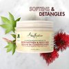 SheaMoisture Curly Hair Care Bundle – Coconut & Hibiscus Curl Enhancing Smoothie & Jamaican Black Castor Oil Strengthen & Restore Leave-In Conditioner, Curl Cream, Frizz Control (2 Piece Set)