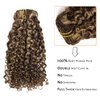 Clip in Human Hair Extensions Afro Jerry Curly 3B 3C Real Hair Clip in Extensions For Black Women Natural Black Color 100% Brazilian African American Hair Extensions (20 inch, Jerry Curly #P4/27)