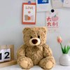 BIUBIULOVE 10Inch Teddy Bear Stuffed Animal, Soft Cuddly Stuffed Plush Bear, Gifts for Kids Baby Toddlers on Baby Shower, Valentine's Day (Dark Brown)